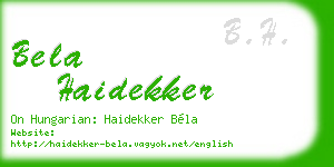 bela haidekker business card