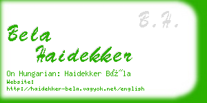 bela haidekker business card